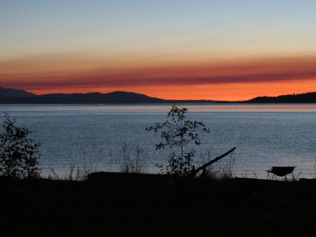 Maxwelton Beach Sunsets! Kayaks & Paddleboards! 1 Min Walk To The Water! Clinton Εξωτερικό φωτογραφία